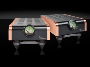 D'Agostino - Momentum M400 MxV - Mono Amplifier