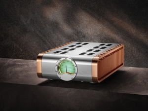 D'Agostino - Momentum Z - Mono Amplifier