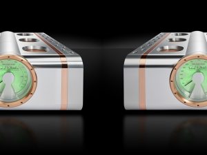 D'Agostino - Relentless Epic 1600 Monoblock - Mono Amplifier